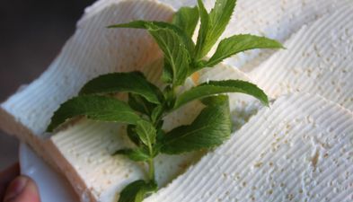 გრინ ოკრიბა_9